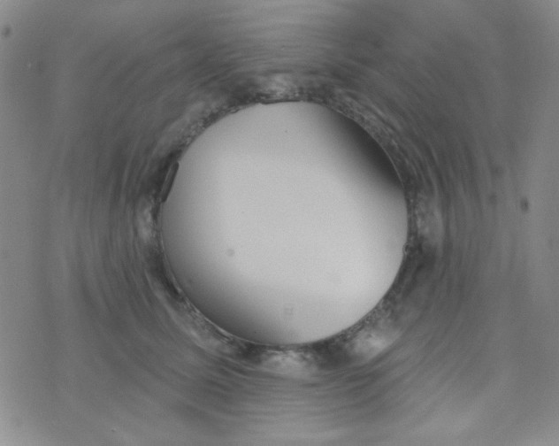 X0000074320611200609152033