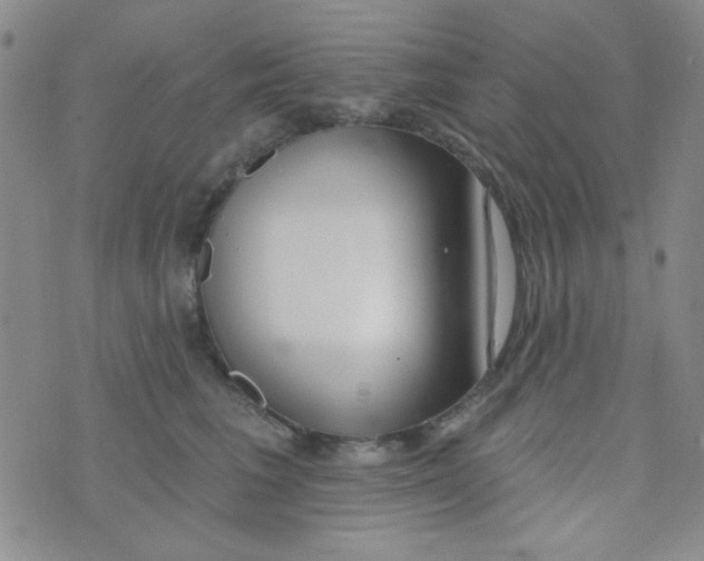 X0000074320613200609152033