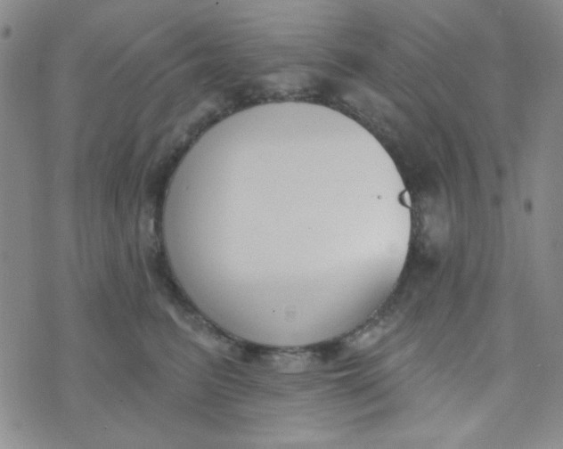 X0000074320615200609152033