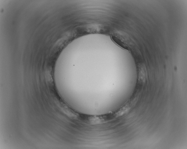 X0000074320616200609152033