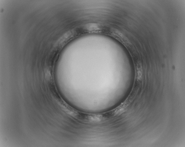 X0000074320618200609152033