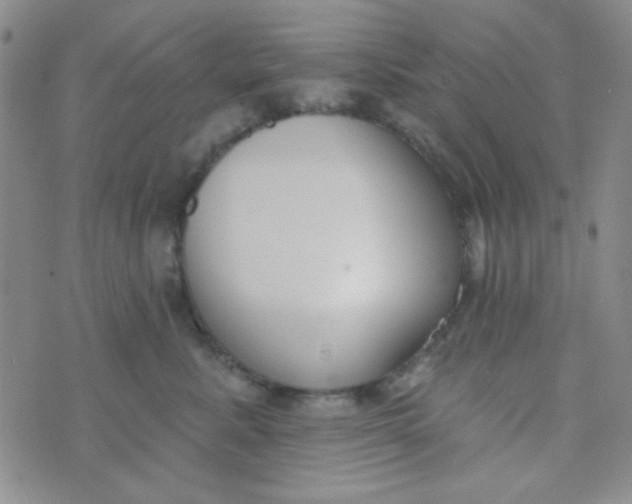 X0000074320619200609152033