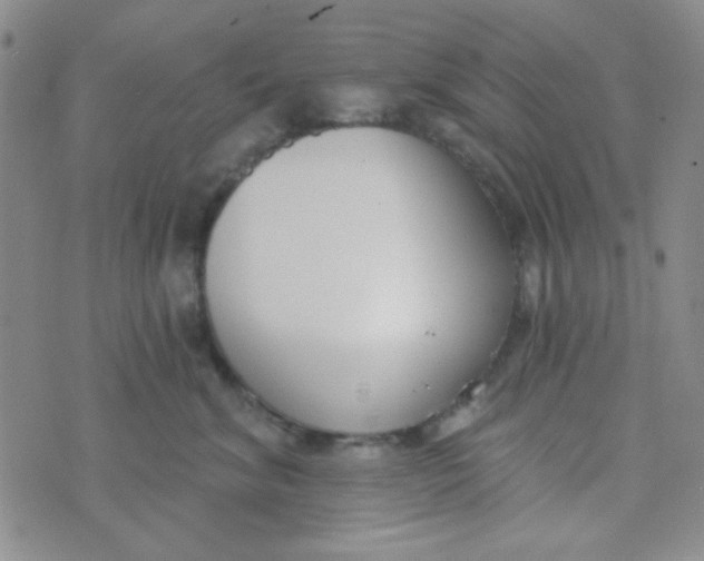 X0000074320620200609152033