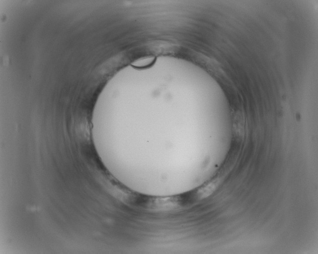 X0000074320622200609152033