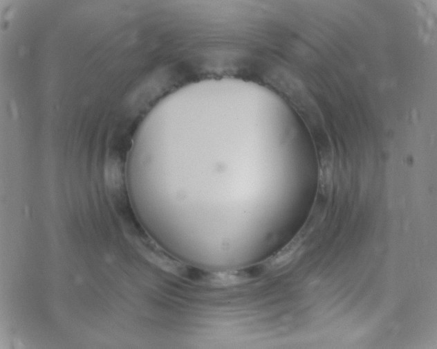 X0000074320623200609152033