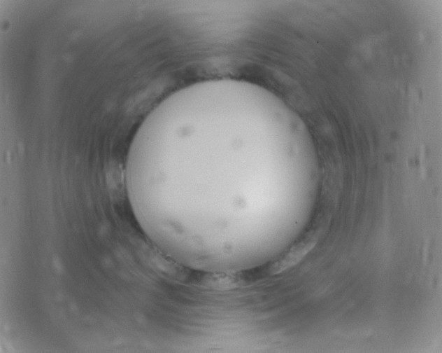 X0000074320624200609152033