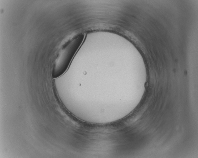 X0000074320625200609152033