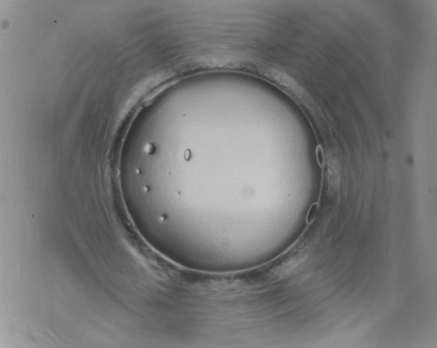 X0000074320626200609152033