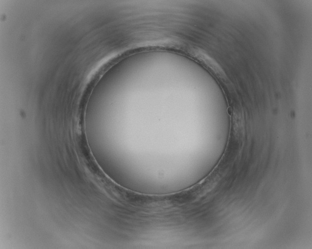 X0000074320628200609152033