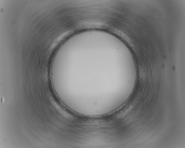 X0000074320629200609152033