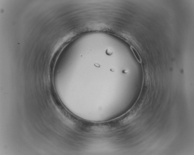 X0000074320630200609152033