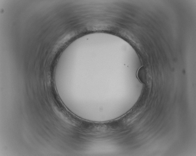 X0000074320631200609152033