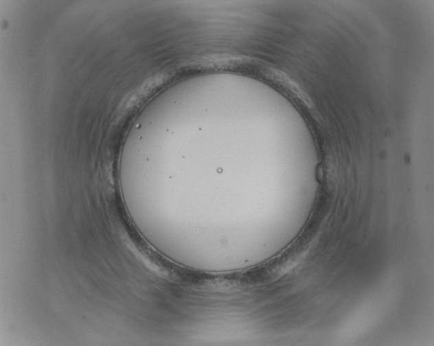 X0000074320633200609152033