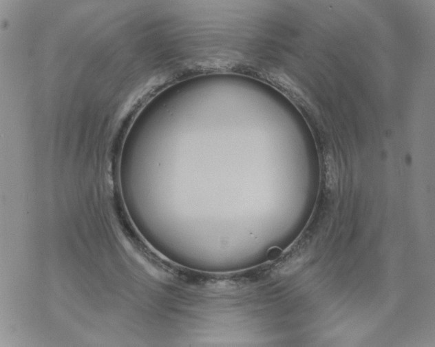 X0000074320634200609152033