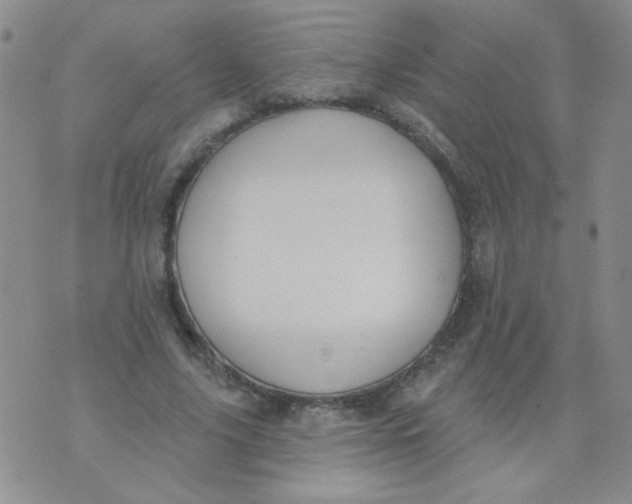 X0000074320635200609152033