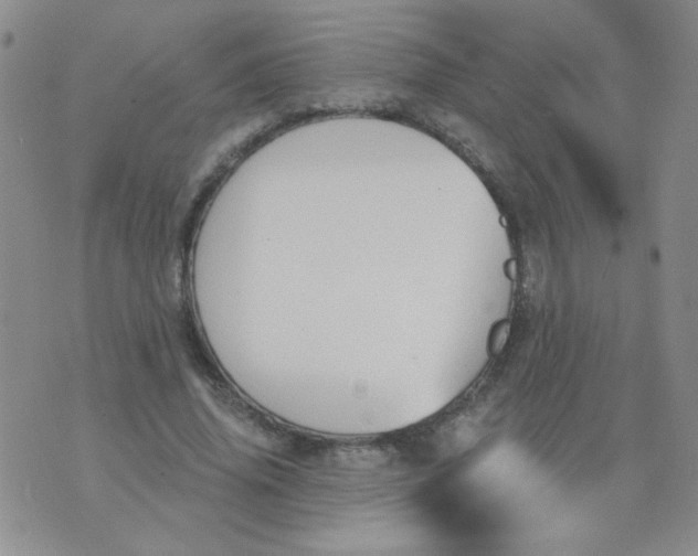 X0000074320636200609152033