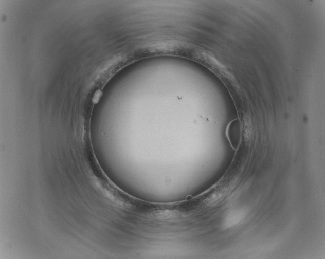 X0000074320637200609152033