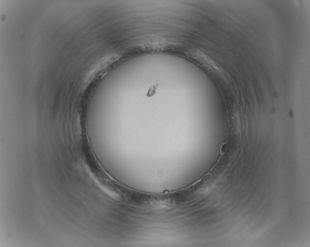 X0000074320638200609152033