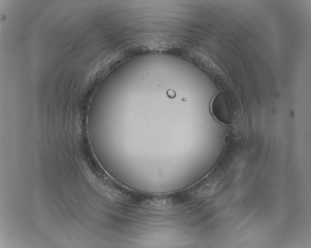 X0000074320639200609152033