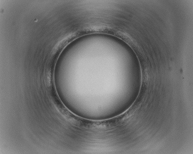 X0000074320640200609152033