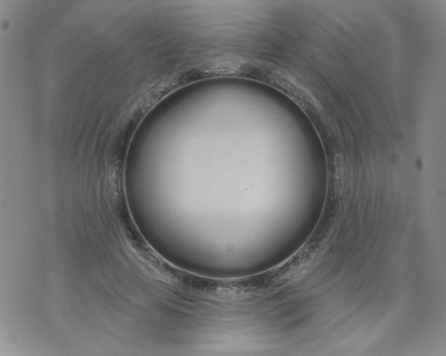 X0000074320641200609152033