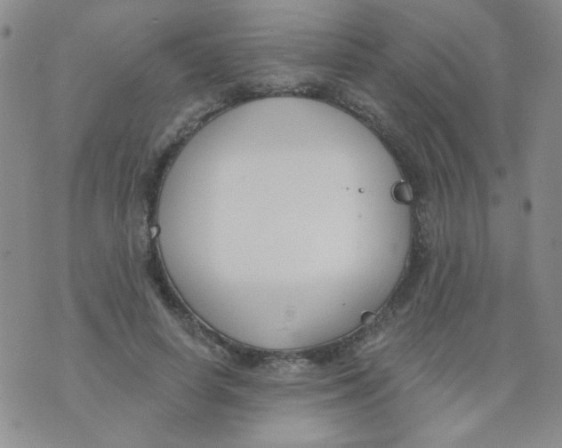 X0000074320642200609152033