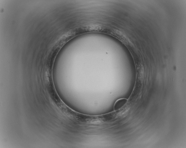 X0000074320643200609152033