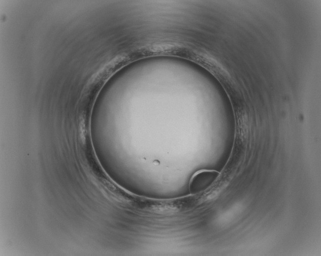 X0000074320644200609152033