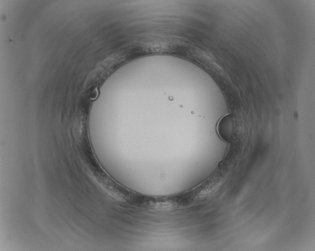 X0000074320645200609152033