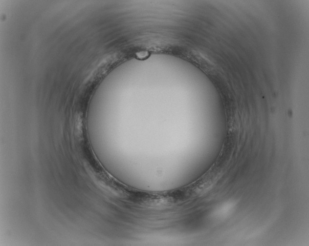 X0000074320646200609152033