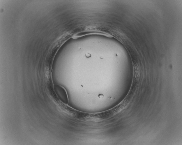 X0000074320648200609152033