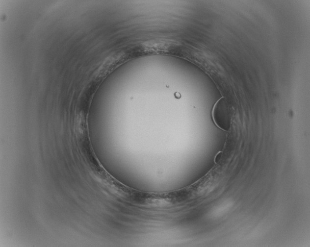 X0000074320649200609152033