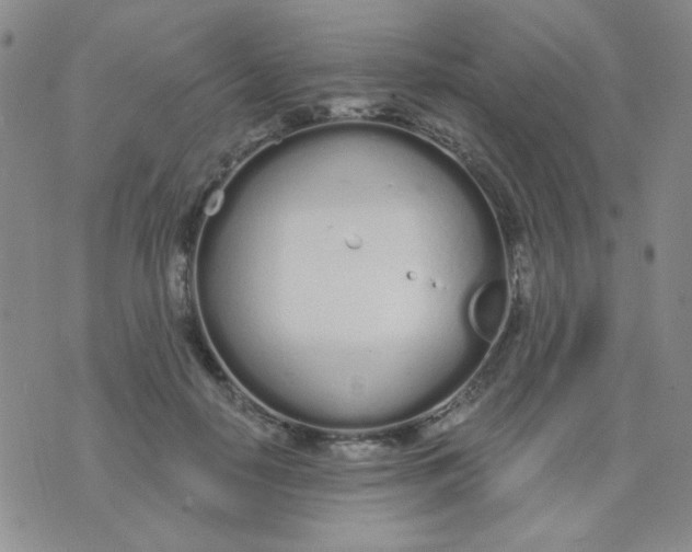 X0000074320650200609152033