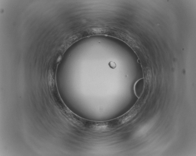 X0000074320651200609152033