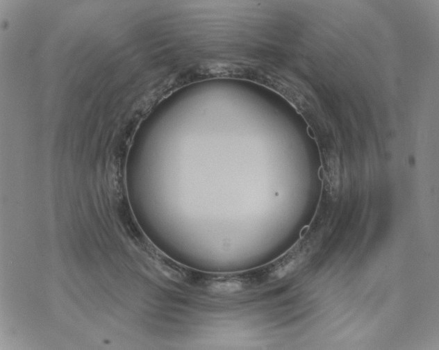 X0000074320653200609152033