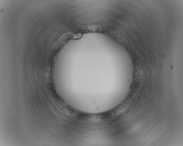 X0000074320656200609152033