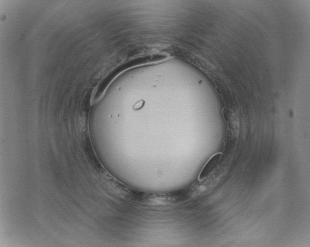 X0000074320657200609152033