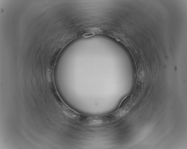 X0000074320658200609152033