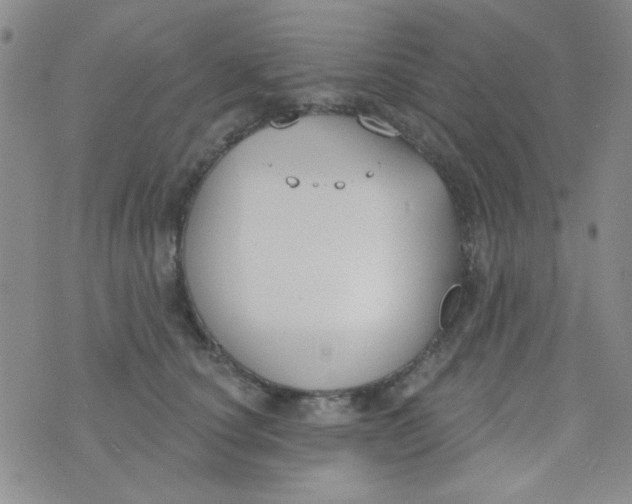 X0000074320660200609152033