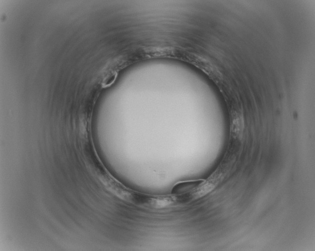 X0000074320662200609152033