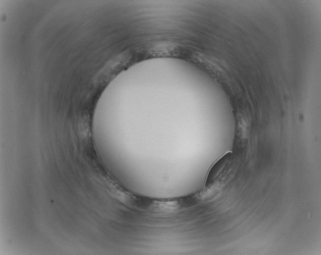 X0000074320665200609152033