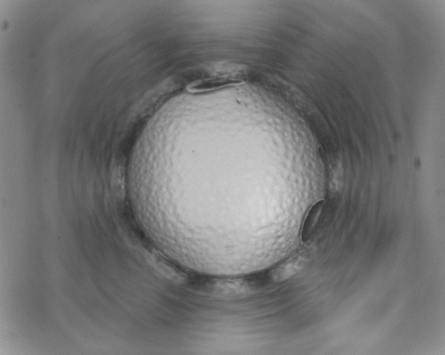 X0000074320666200609152033