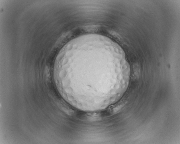 X0000074320667200609152033