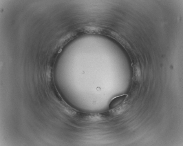 X0000074320668200609152033