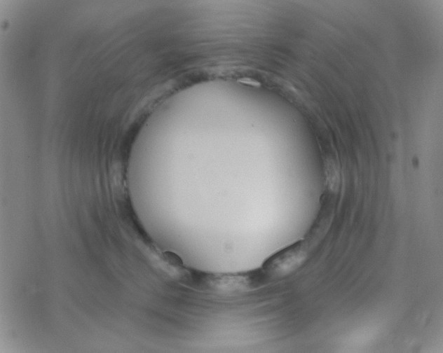 X0000074320670200609152033