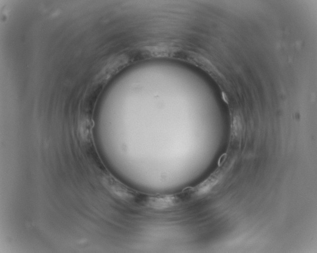 X0000074320671200609152033