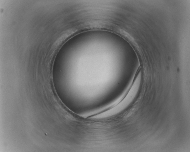 X0000074320673200609152032