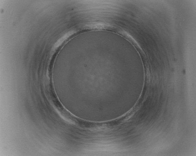 X0000074320674200609152032