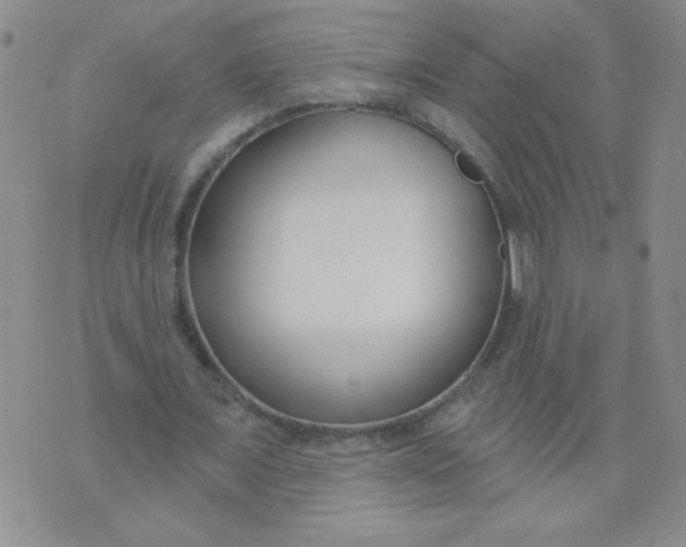 X0000074320675200609152032