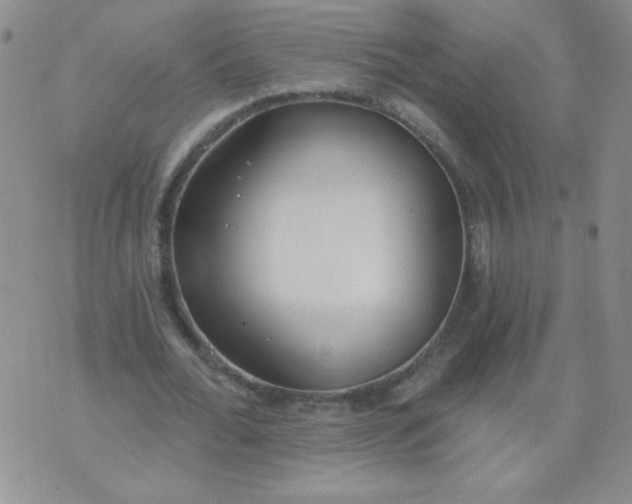 X0000074320676200609152032